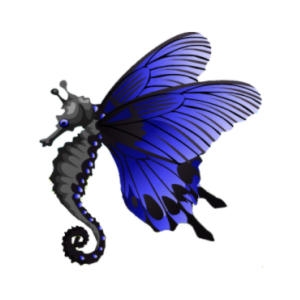 Onyx Butterfly Seahorse